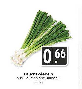 Lauchzwiebeln aus Deutschland, Klasse I, Bund