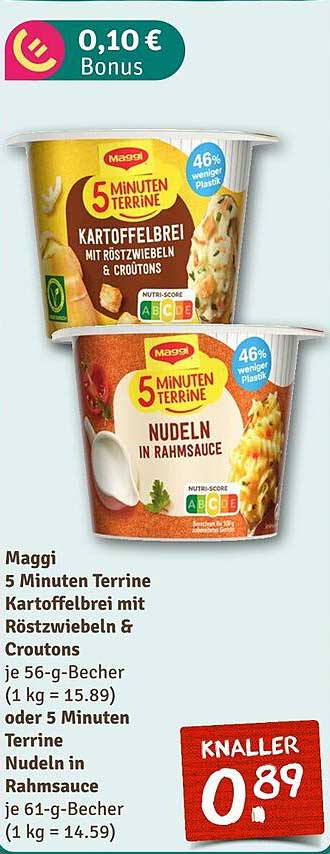 Maggi 5 Minuten Terrine Kartoffelbrei mit Röstzwiebeln & Croutons oder Nudeln in Rahmsauce