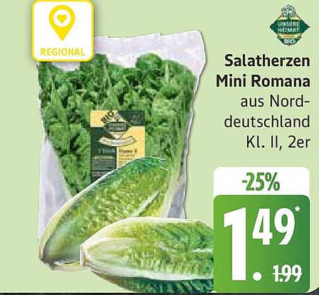 Salatherzen Mini Romana aus Norddeutschland Kl. II, 2er
