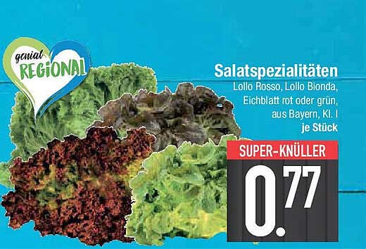 Salatspezialitäten: Lollo Rosso, Lollo Bionda, Eichblatt rot oder grün, aus Bayern, Kl. I!