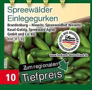 Spreewälder Einlegegurken – frisch und lecker!
