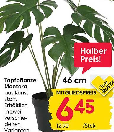 Topfpflanze Monstera aus Kunststoff 46 cm - Halber Preis!