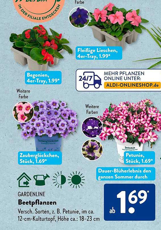 Gardenline Beetpflanzen, verschiedene Sorten ab 1,69*