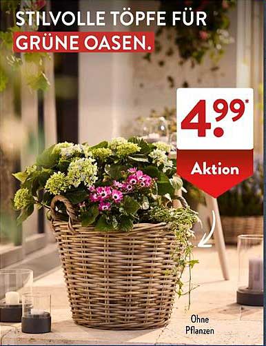 Stilvolle Töpfe für grüne Oasen