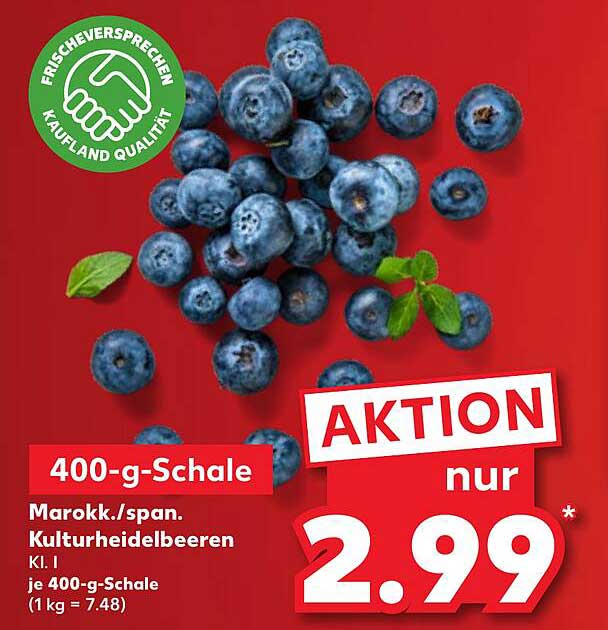 400-g-Schale Marokk./span. Kulturheidelbeeren