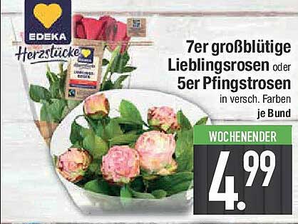 7er großblütige Lieblingsrosen oder 5er Pfingstrosen in verschiedenen Farben je Bund