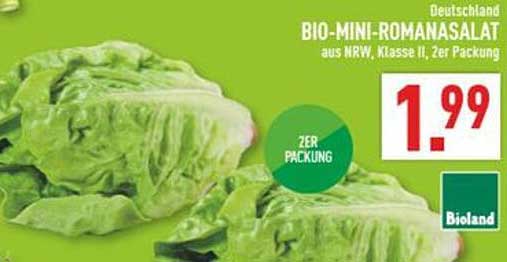 BIO-MINI-ROMANASALAT aus NRW, Klasse II, Zer Packung