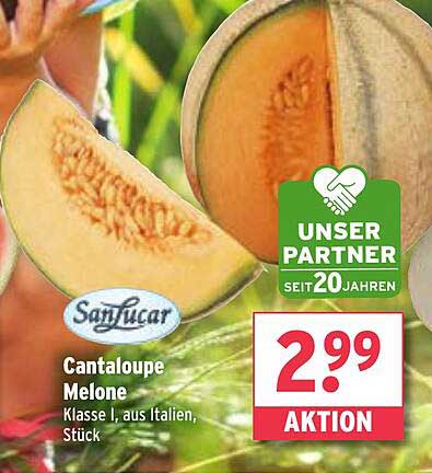 Cantaloupe Melone Klasse I aus Italien, Stück