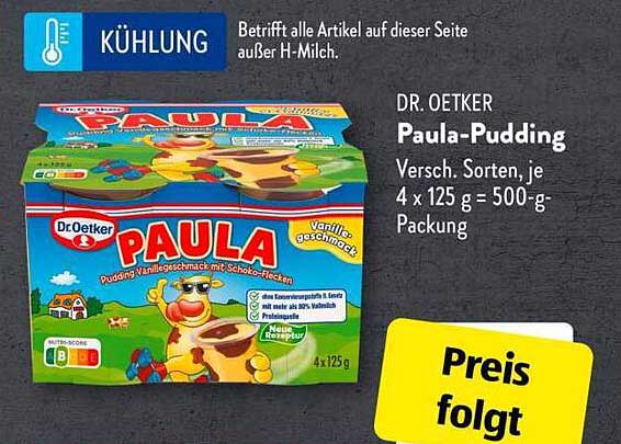DR. OETKER Paula-Pudding