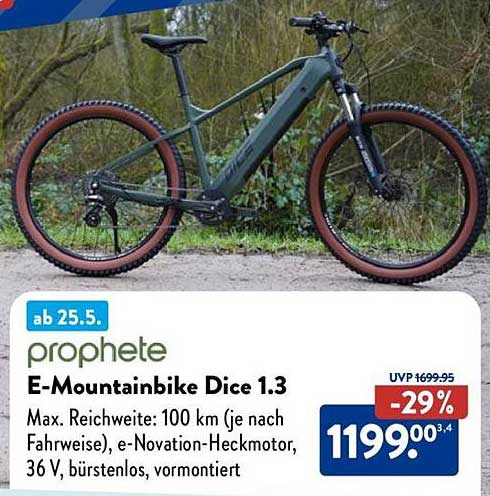 E-Mountainbike Dice 1.3 von Prophete
