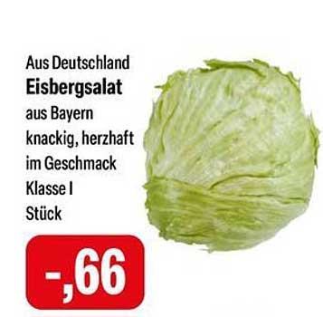 Eisbergsalat aus Deutschland - knackig und herzhaft