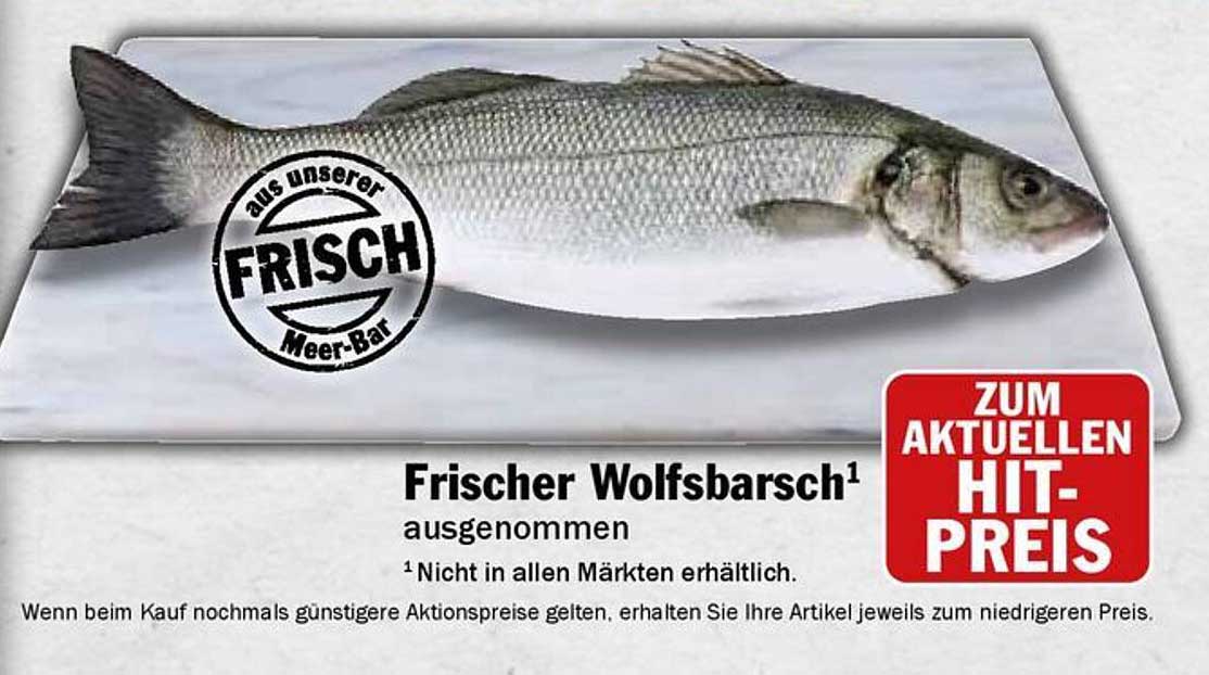 Frischer Wolfsbarsch