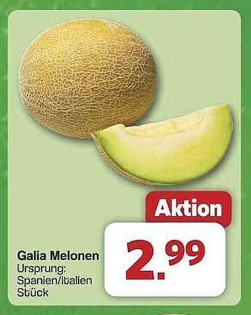 Galia Melonen - frischer Genuss aus Spanien und Italien