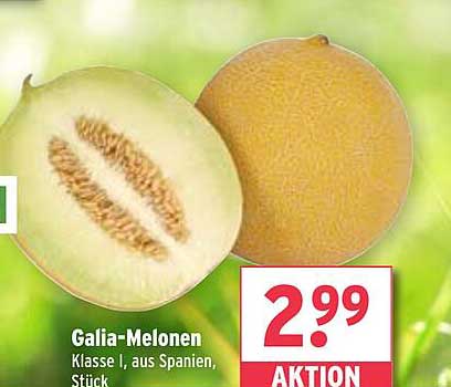 Galia-Melonen Klasse I, aus Spanien, Stück