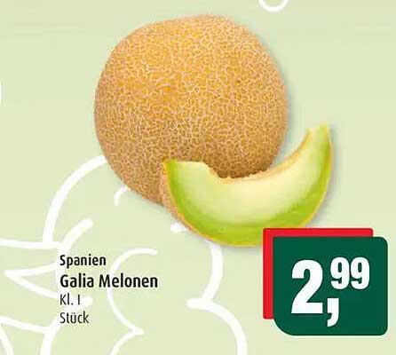 Galia Melonen - Spanien, Kl. 1, Stück
