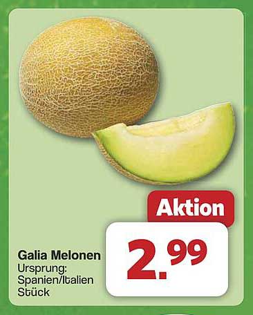 Galia Melonen - Stück