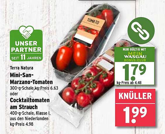 Mini-San-Marzano-Tomaten und Cocktailtomaten am Strauch