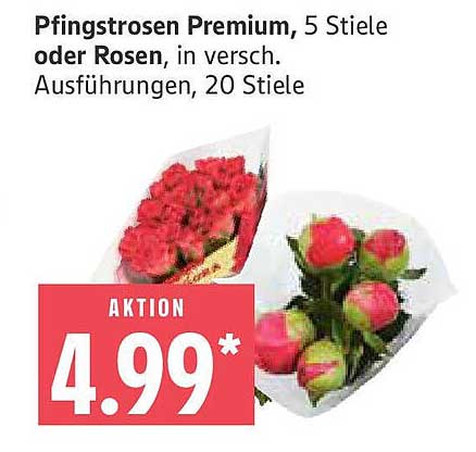 Pfingstrosen Premium, 5 Stiele oder Rosen, in versch. Ausführungen, 20 Stiele