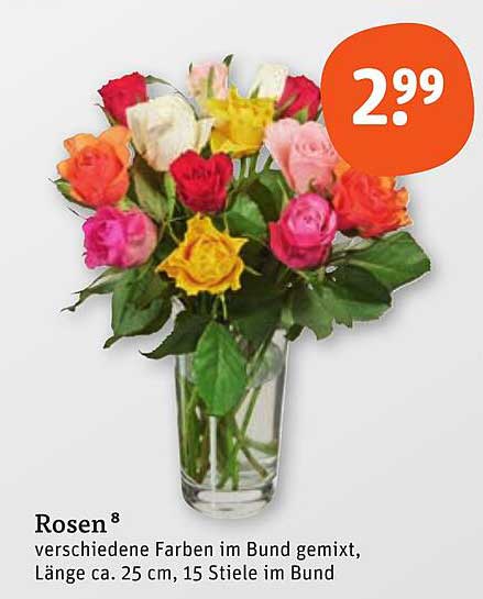 Rosen im Bund – verschiedene Farben gemischt