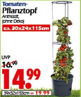 Tomaten-Pflanztopf Anthrazit (ohne Dekor)