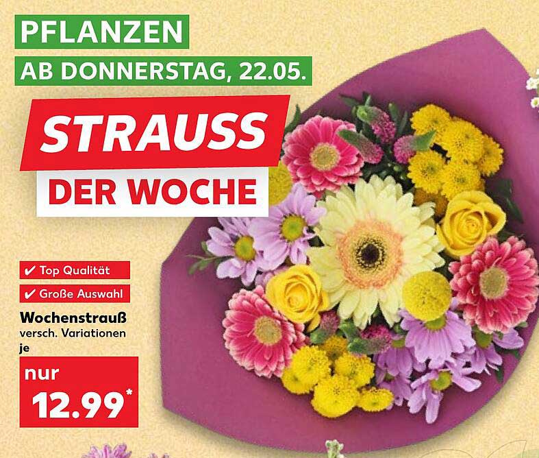 Wochenstrauß der Woche - Pflanzenangebot erhältlich ab 22.05.