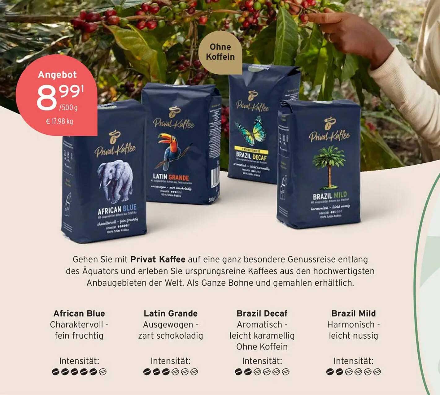 Privat Kaffee – Genussreise entlang des Äquators