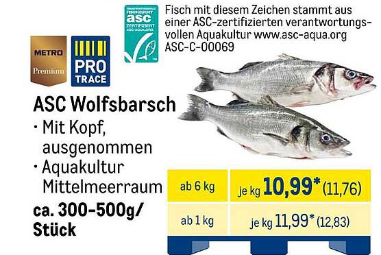 ASC Wolfsbarsch - Mit Kopf, ausgenommen