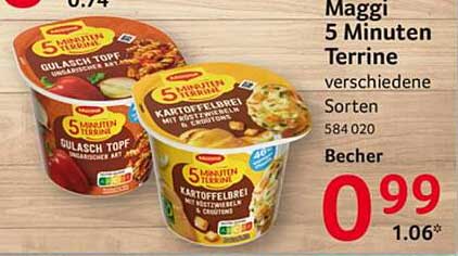Maggi 5 Minuten Terrine verschiedene Sorten