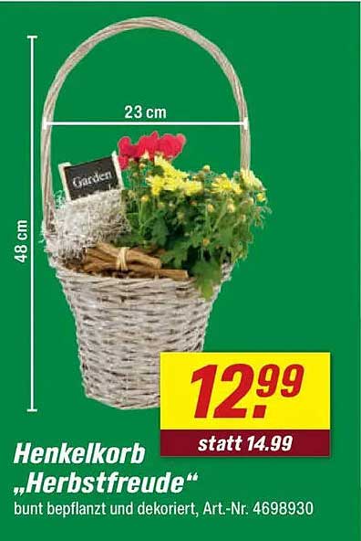 Henkelkorb „Herbstfreude“ bunt bepflanzt und dekoriert