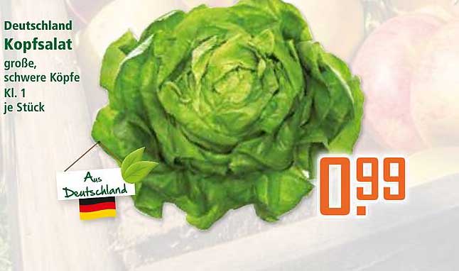 Kopfsalat aus Deutschland - große, schwere Köpfe Kl. 1