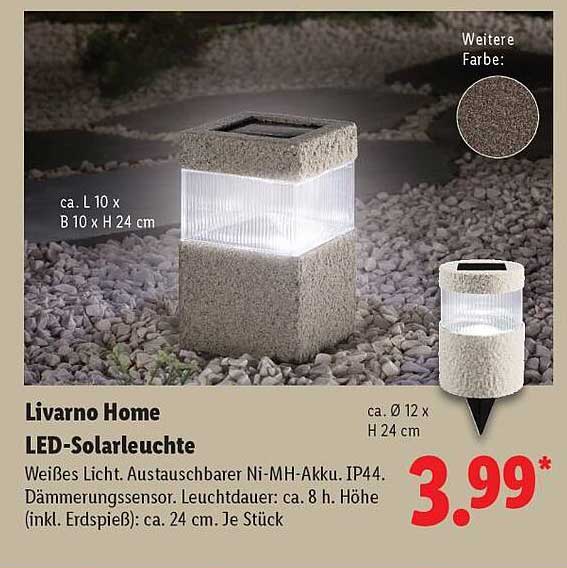 Livorno Home LED-Solarleuchte