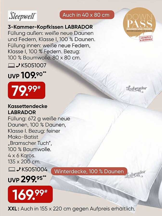 3-Kammer-Kopfkissen LABRADOR und Kassettendecke LABRADOR