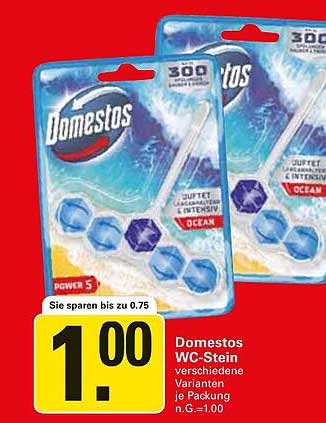 Domestos WC-Stein - verschiedene Varianten