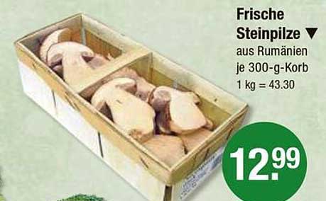 Frische Steinpilze aus Rumänien je 300-g-Korb