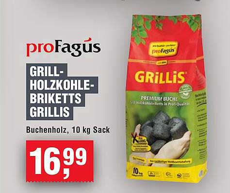 Grill-Holzkohle-Briketts Grillis, Buchenholz, 10 kg Sack