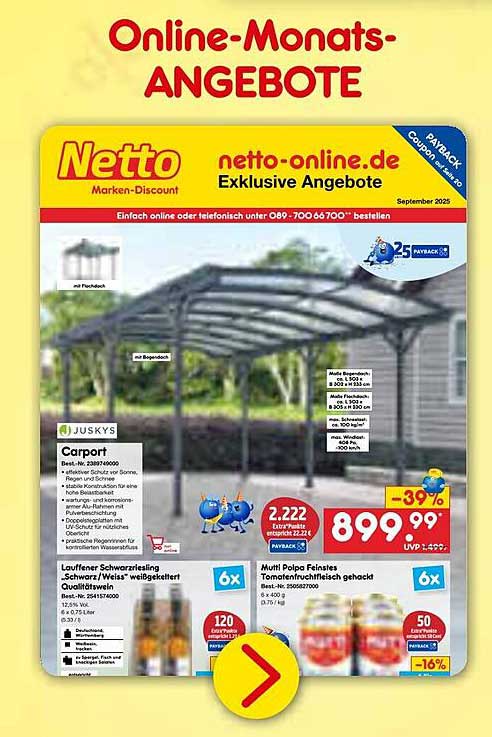 JUSKYS Carport - Schwarz/Weiß