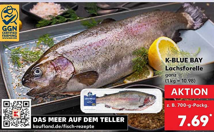 K-BLUE BAY Lachsforelle ganz