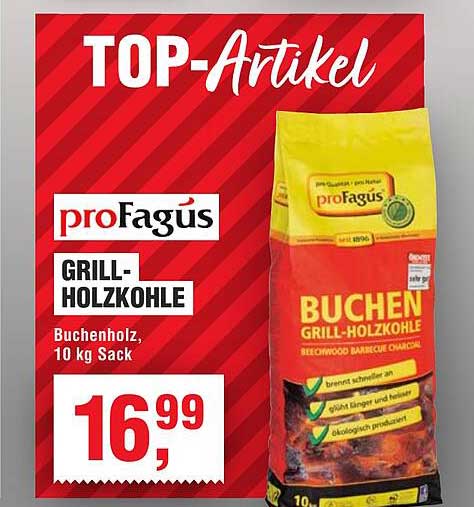 proFagus Grill-Holzkohle, Buchenholz, 10 kg Sack