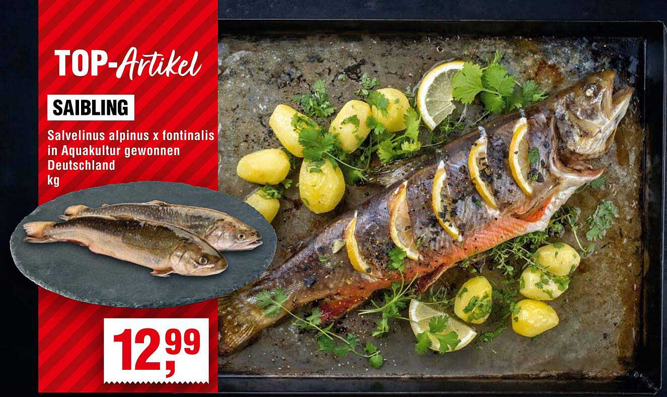 Saibling - Salvelinus alpinus x fontinalis in Aquakultur gewonnen