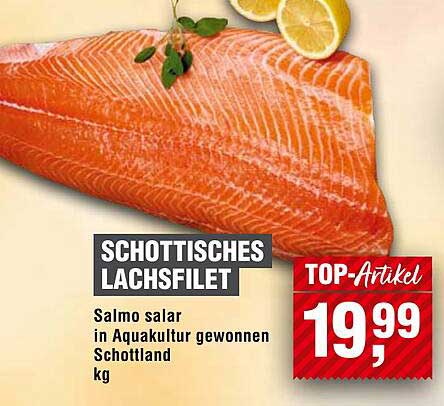 Schottisches Lachsfilet – Salmo salar in Aquakultur gewonnen