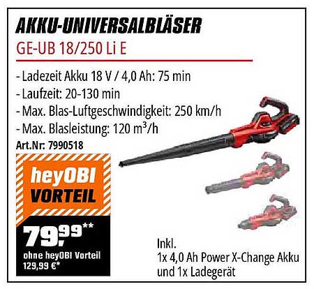 AKKU-UNIVERSALBLÄSER GE-UB 18/250 Li E