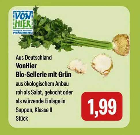 Bio-Sellerie mit Grün aus ökologischem Anbau
