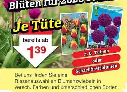 Blüten für 2020: Je Tüte ab 1,39 €