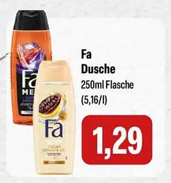 Fa Dusche 250ml Flasche