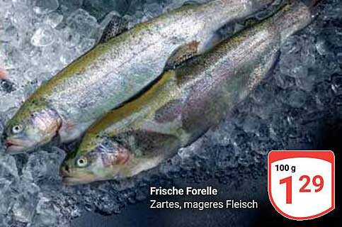 Frische Forelle - Zartes, mageres Fleisch