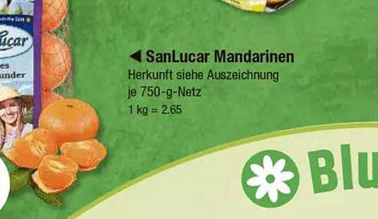SanLucar Mandarinen 750-g-Netz