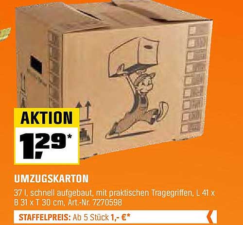 Umzugskarton
