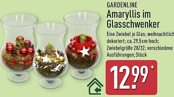 GARDENLINE Amaryllis im Glasschwender