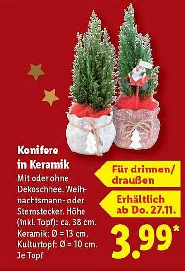 Koniferen in Keramik