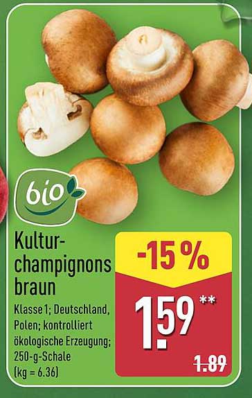 Kulturchampignons braun